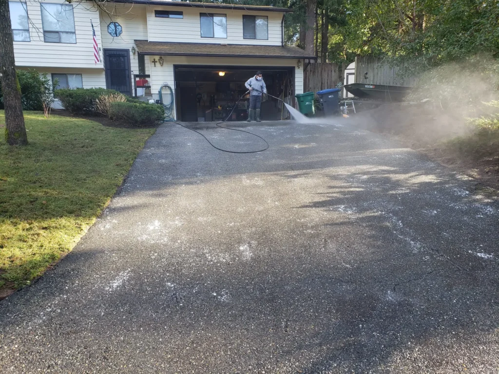 Driveway Cleaning
