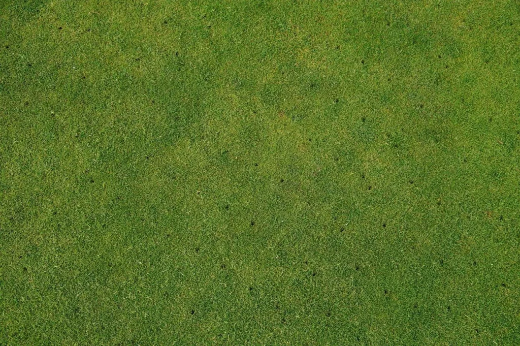 Landscape Maintenance