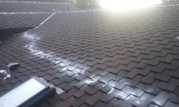 Roof Cleaning