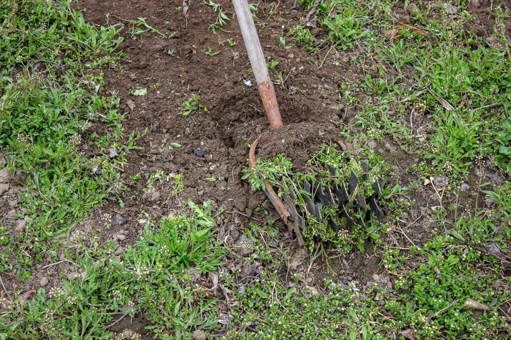 a man cleans weeds in the garden. Spring cleaning on the farm.