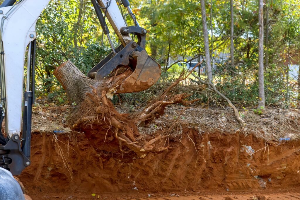 Clearing land for housing complex using skid steer tractor to remove a roots