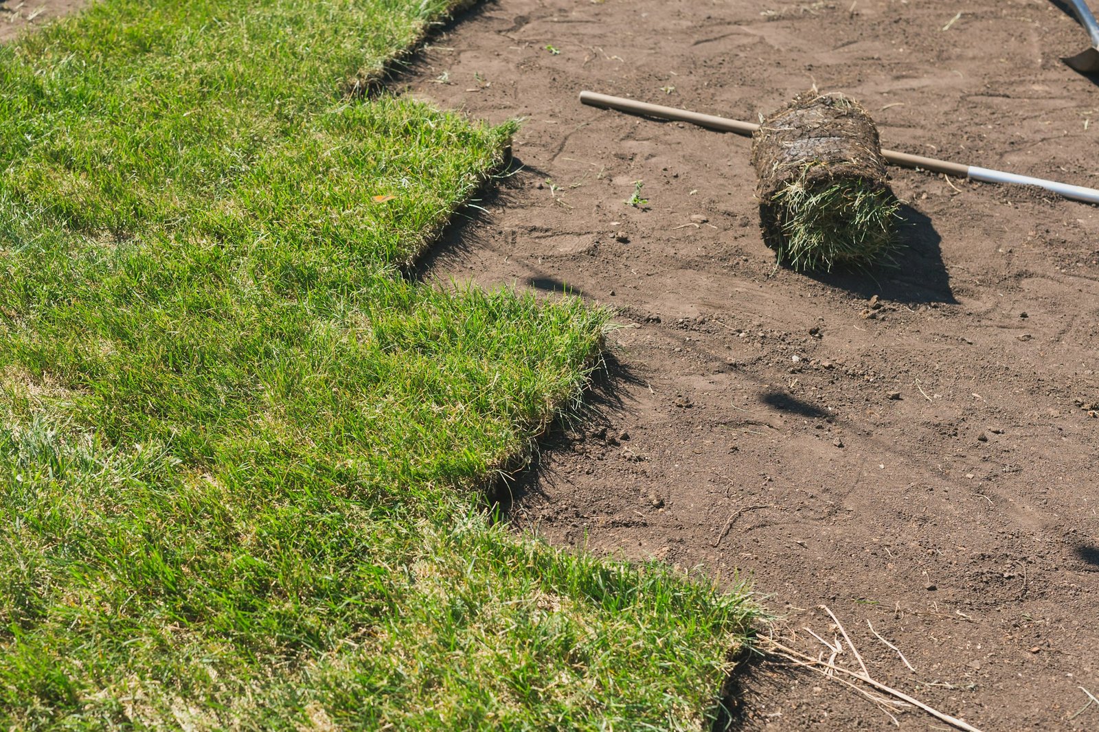 Laying sod for new garden lawn - turf laying concept