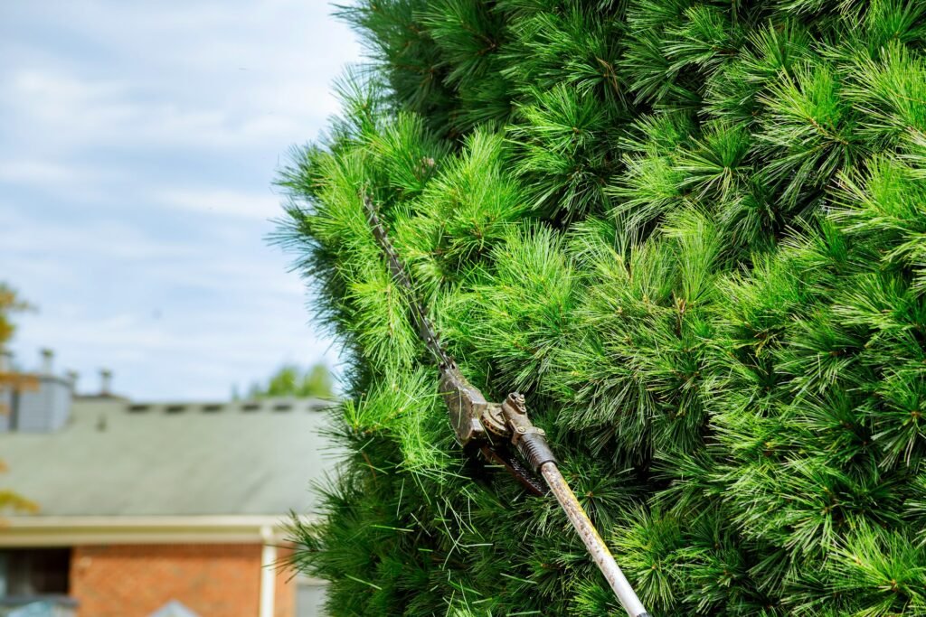 Workers were using mower for Gardening Trimming Hedges In Backyard