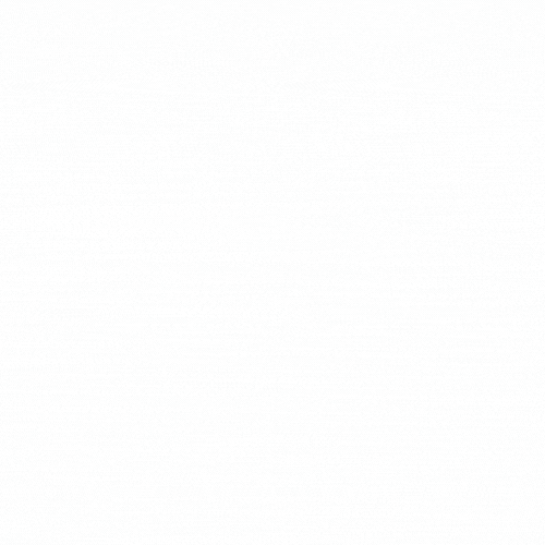 LOGO ANIMADO 2
